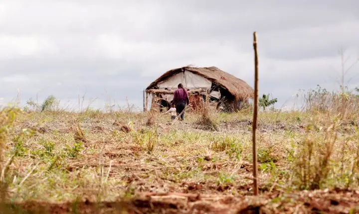 Cai número de assassinatos no campo, mas aumenta o de conflitos